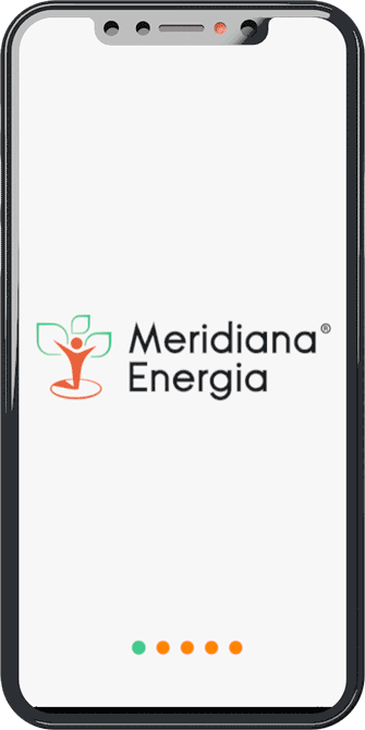 app-summary-meridianaenergia